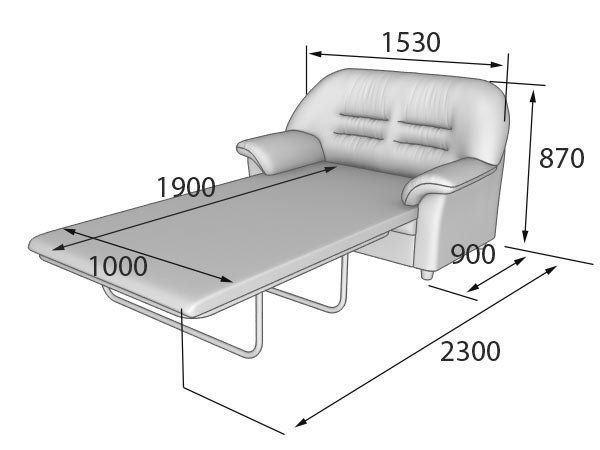 Премьер  Диван 2-местный раскладной (1540 х 900 х 900(990 х 1870))
