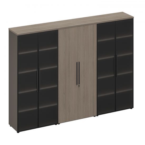 РС 335 Шкаф комбинированный с высокими дверьми (стекло-одежда-стекло) (271x46x198)