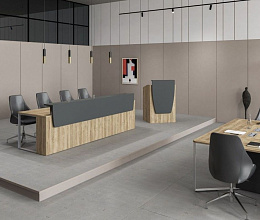 ЮН Speech Президиум