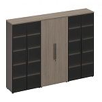 РС 335 Шкаф комбинированный с высокими дверьми (стекло-одежда-стекло) (271x46x198)