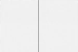 белый/белый