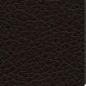 темно-коричневая CN1113