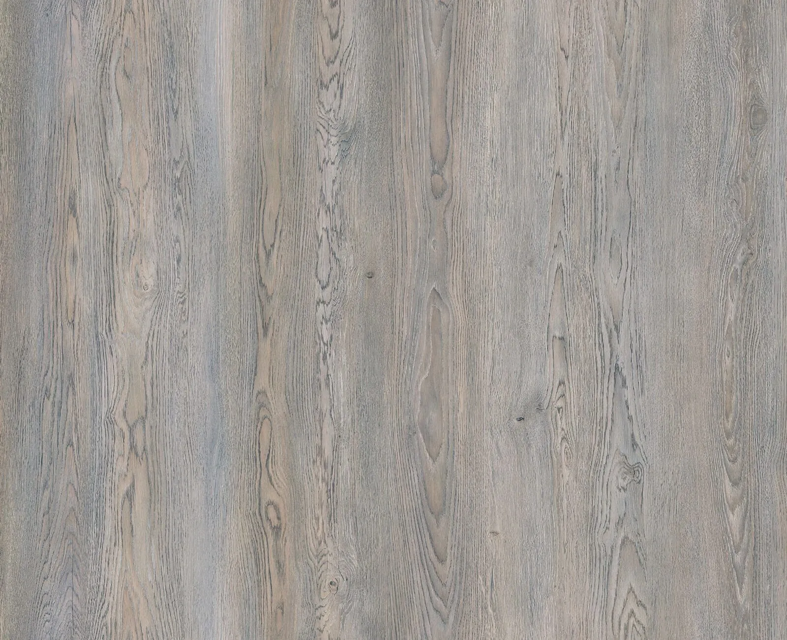 Дуб Наварра